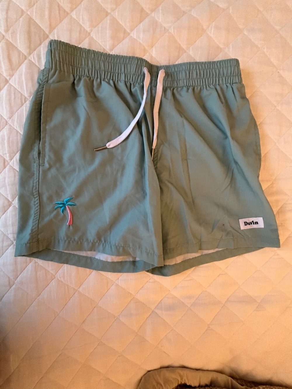 Men's Duvin Swim Trunks (Small)